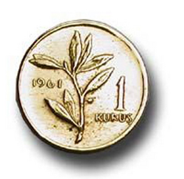 Dünden bugüne Türk parasının değişimi	