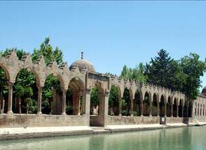 Bal�kl� G�l Efsanesi