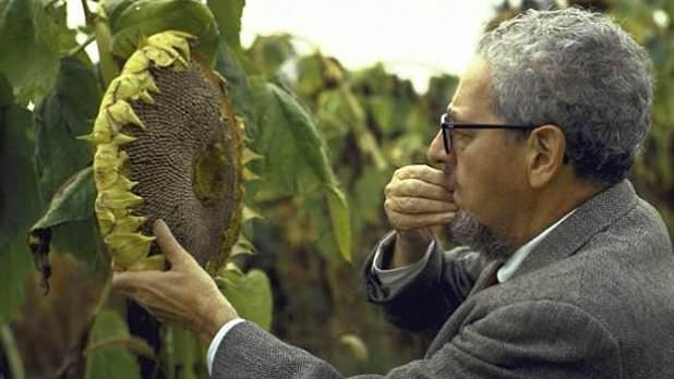 Dünyanın en ilginç ölümleri