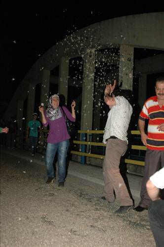 Kelebeklerin ölüm dansı