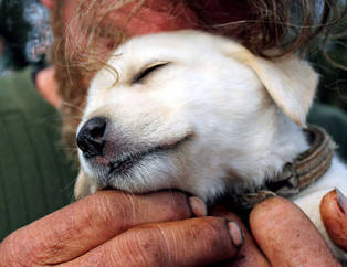 Paranın satın alamayacağı bir sevgi 